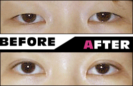 ��d�܂Ԃ��ɂ�����@DVD�̌��҂̐�